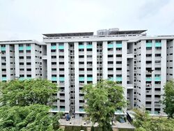 Blk 307 Clementi Meadows (Clementi), HDB 3 Rooms #632469531